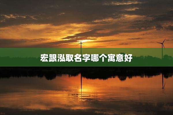 宏跟泓取名字哪个寓意好