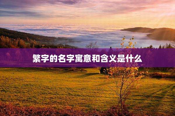 繁字的名字寓意和含义是什么