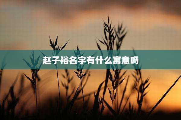 赵子裕名字有什么寓意吗