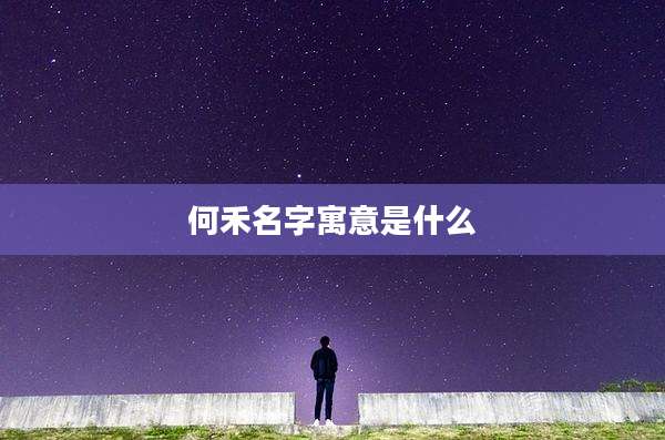 何禾名字寓意是什么