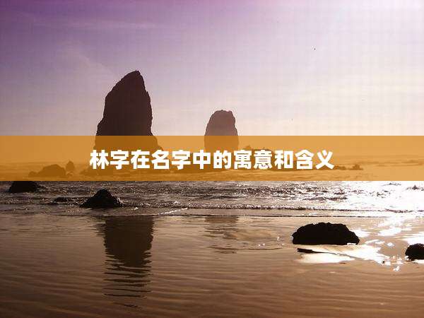 林字在名字中的寓意和含义