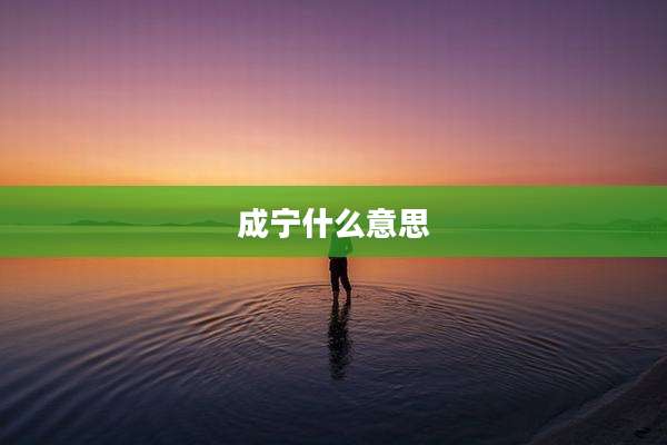 成宁什么意思