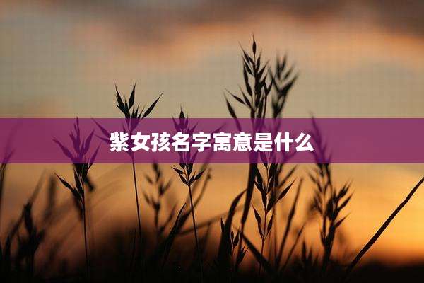 紫女孩名字寓意是什么