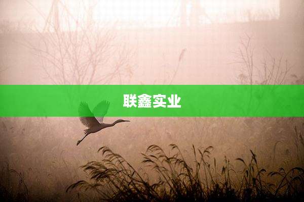 联鑫实业