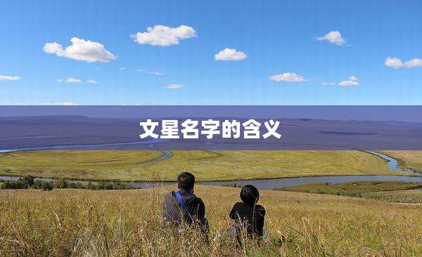 文星名字的含义