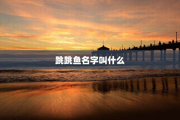 跳跳鱼名字叫什么