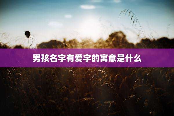 男孩名字有爱字的寓意是什么