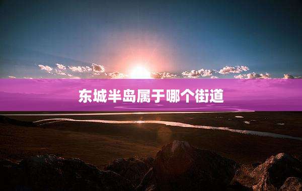 东城半岛属于哪个街道