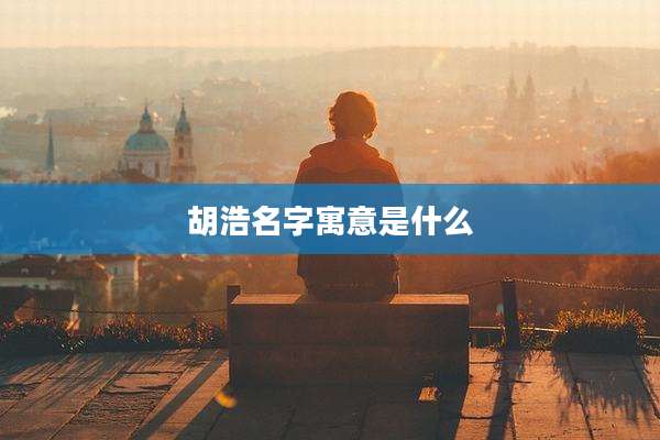 胡浩名字寓意是什么