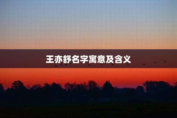 王亦舒名字寓意及含义