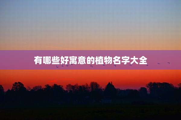 有哪些好寓意的植物名字大全