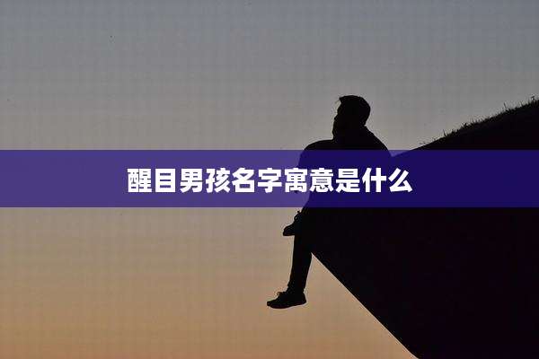 醒目男孩名字寓意是什么