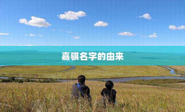 嘉骐名字的由来