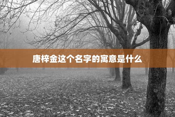 唐梓金这个名字的寓意是什么