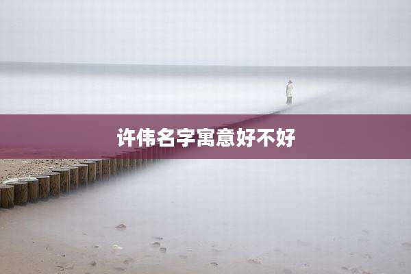 许伟名字寓意好不好