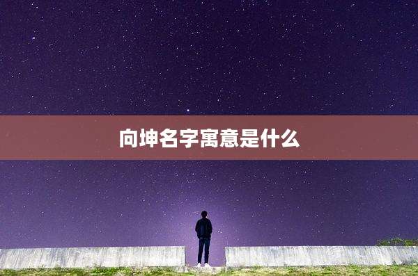向坤名字寓意是什么