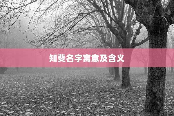 知斐名字寓意及含义