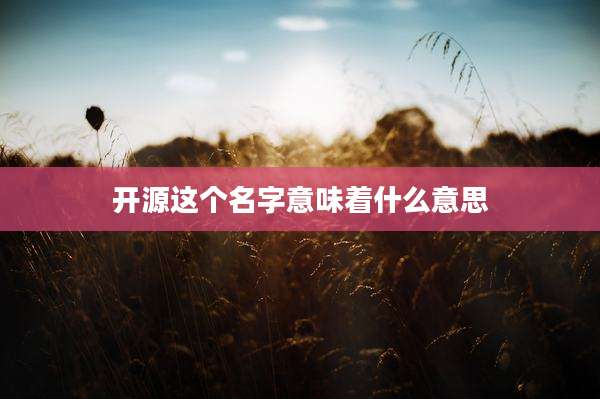 开源这个名字意味着什么意思