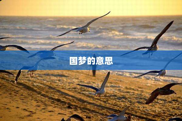 国梦的意思