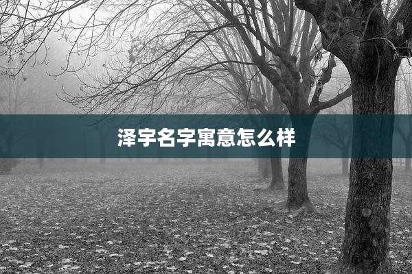 泽宇名字寓意怎么样
