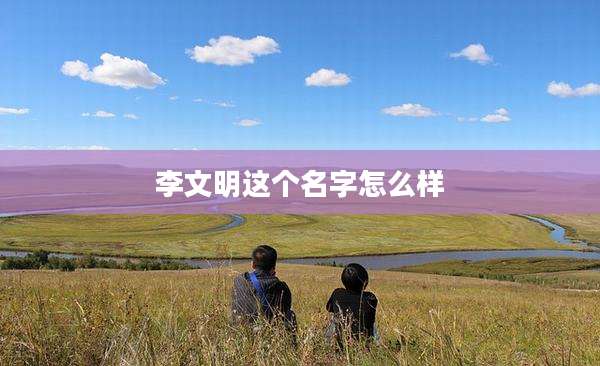 李文明这个名字怎么样