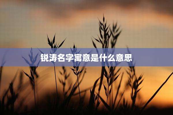 锐涛名字寓意是什么意思
