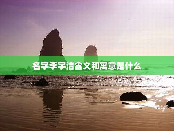 名字李宇洁含义和寓意是什么