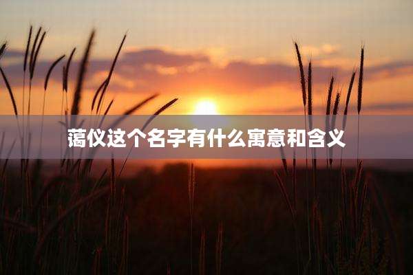 蔼仪这个名字有什么寓意和含义