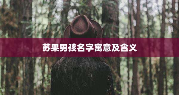 苏果男孩名字寓意及含义