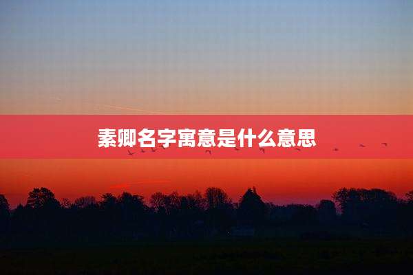 素卿名字寓意是什么意思