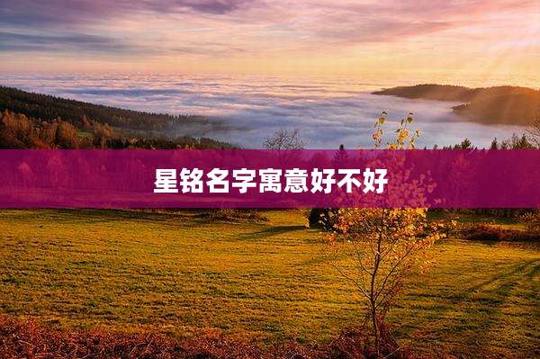 星铭名字寓意好不好