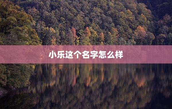 小乐这个名字怎么样