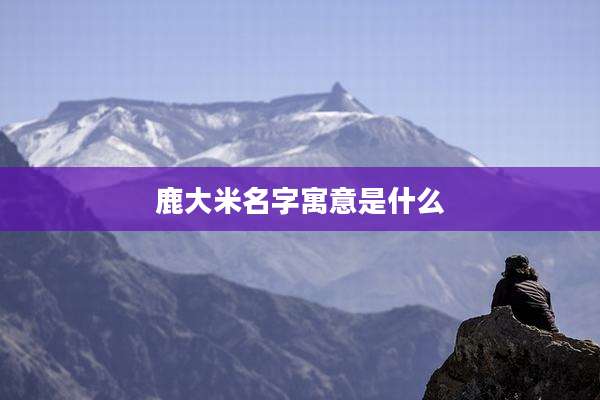 鹿大米名字寓意是什么