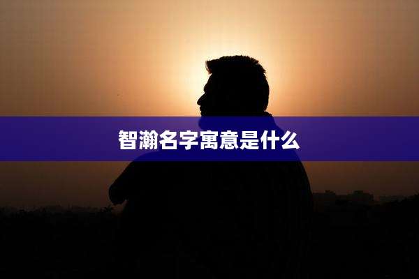 智瀚名字寓意是什么
