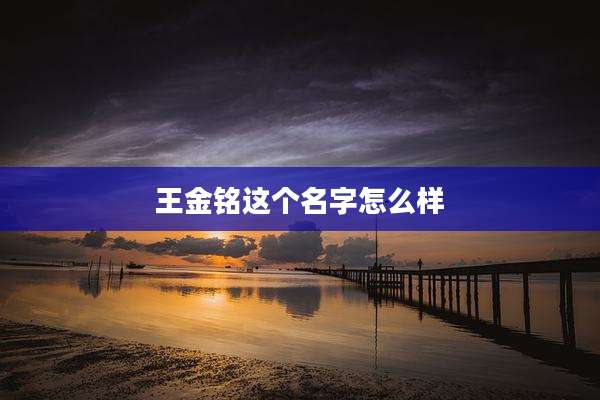 王金铭这个名字怎么样