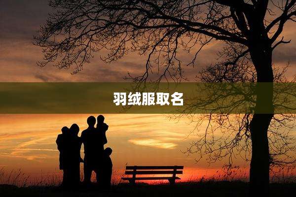 羽绒服取名