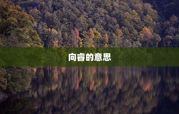 向睿的意思