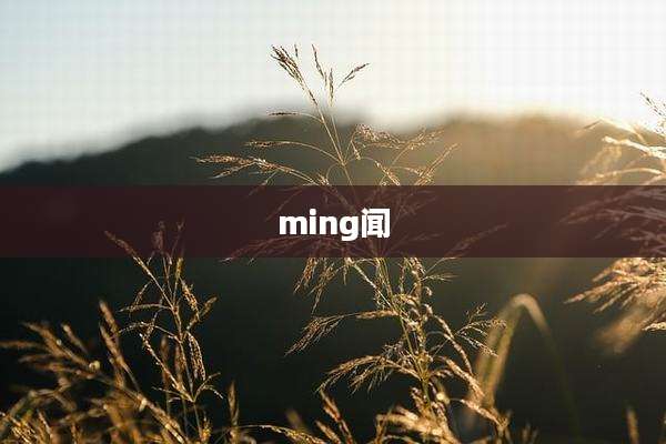 ming闻