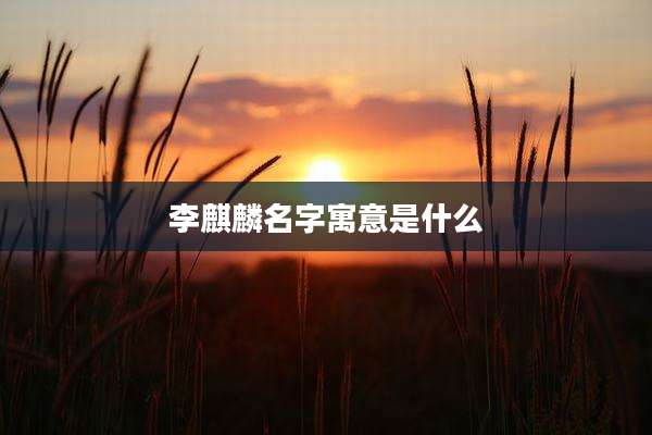 李麒麟名字寓意是什么