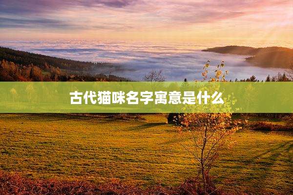 古代猫咪名字寓意是什么