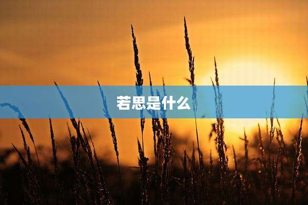 若思是什么
