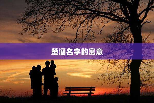 楚涵名字的寓意