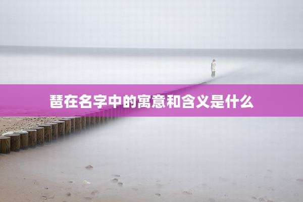 琶在名字中的寓意和含义是什么