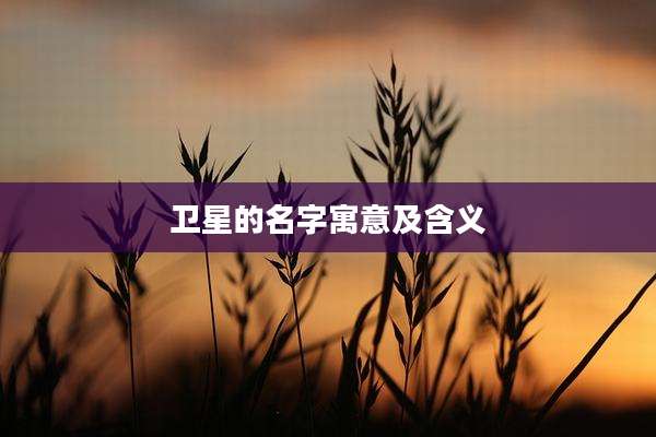 卫星的名字寓意及含义