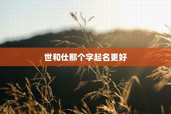 世和仕那个字起名更好