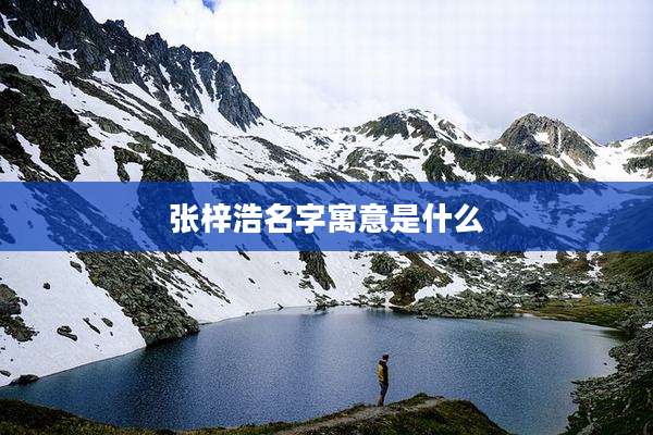 张梓浩名字寓意是什么