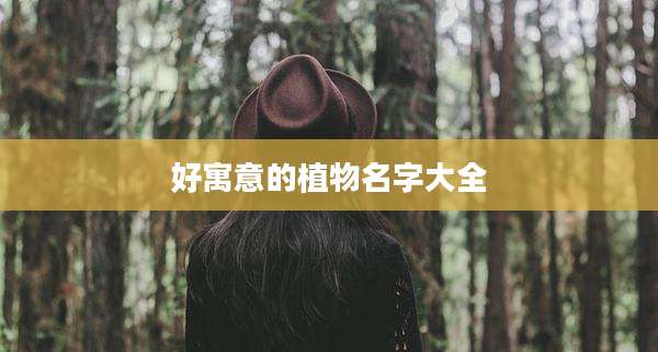 好寓意的植物名字大全