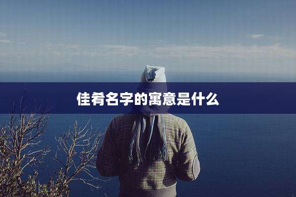 佳肴名字的寓意是什么