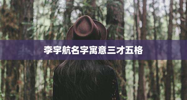 李宇航名字寓意三才五格