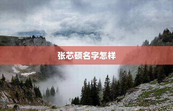 张芯硕名字怎样